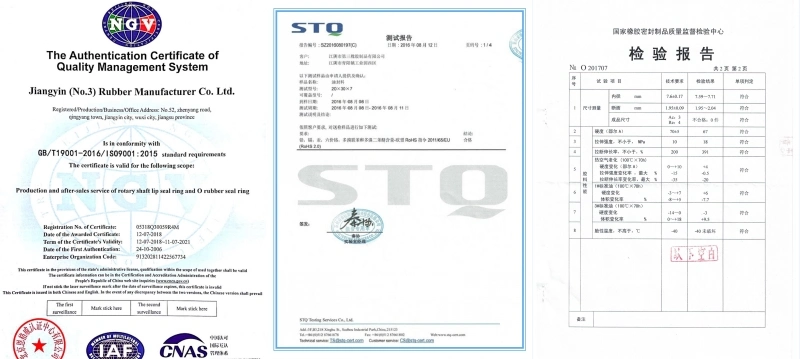 National High Precision Customized Oil Seal