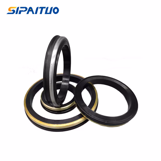 精密構造のスプリングプリロードシール、PTFEシール付きスプリングシールリング